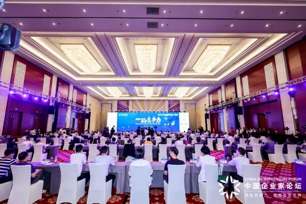大变局下的“美”力量 丁雄军在2022亚布力中国企业家论坛·天津峰会开幕式上发表主旨演讲