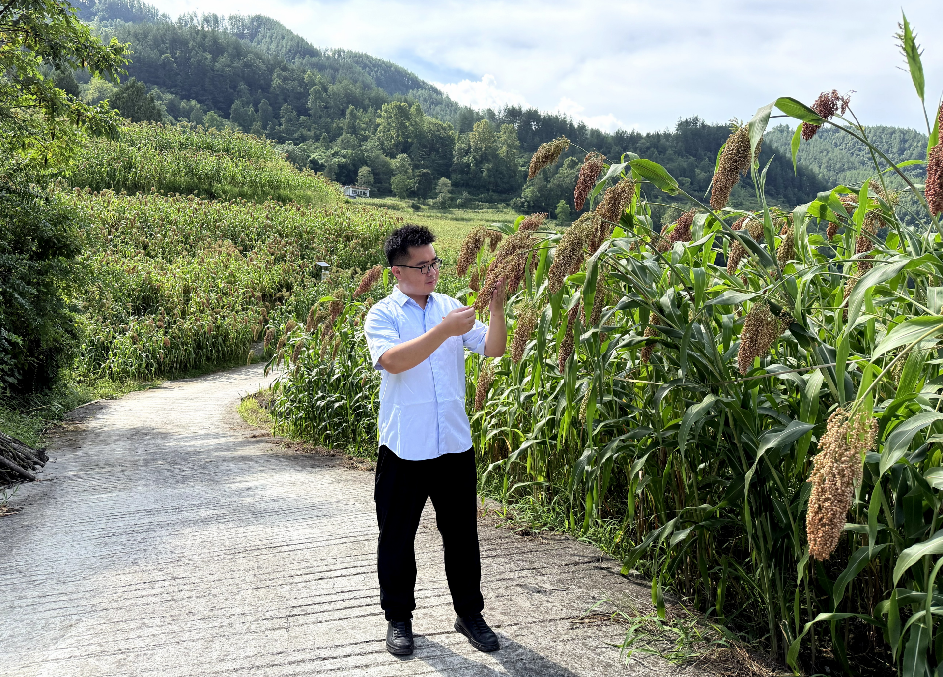 【乡村振兴看茅台】龙华：扎根顺河村 实干促振兴