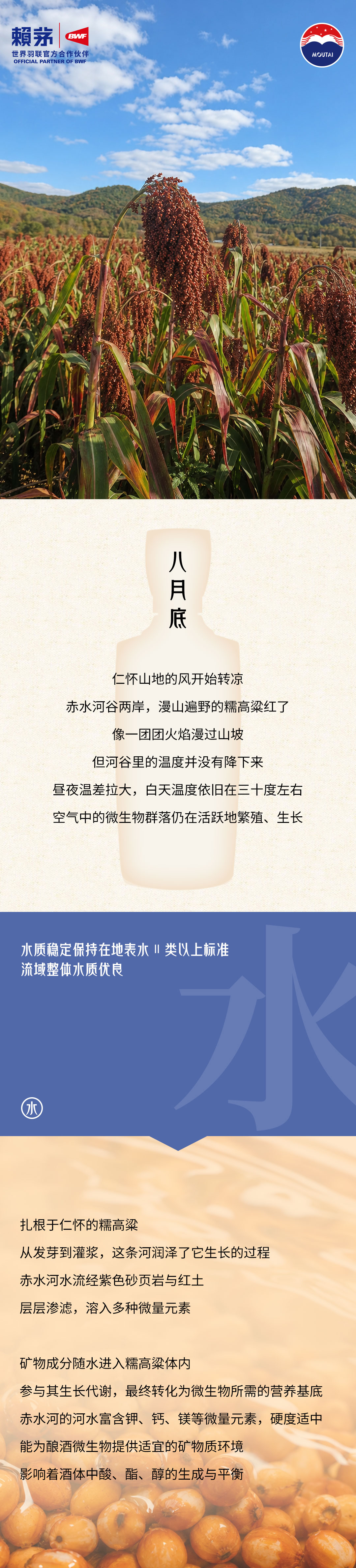 一粒高粱的成长修行