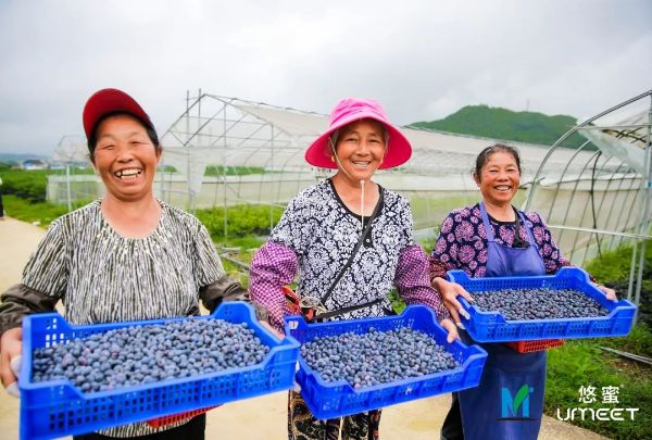 第二届茅台悠蜜节现场