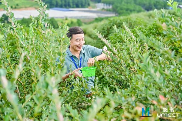 第二届茅台悠蜜节现场