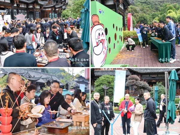 洞天福地 醉美贵州 2024贵州茅友嘉年华相约毕节织金